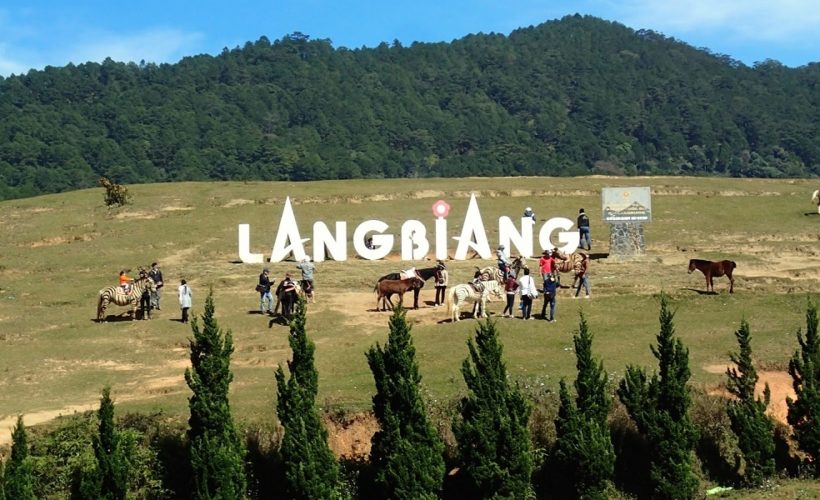 kinh nghiệm du lịch Đà Lạt kinh nghiệm du lịch Đà Lạt