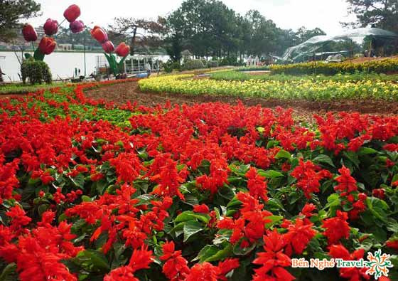 kinh nghiệm du lịch Đà Lạt kinh nghiệm du lịch Đà Lạt