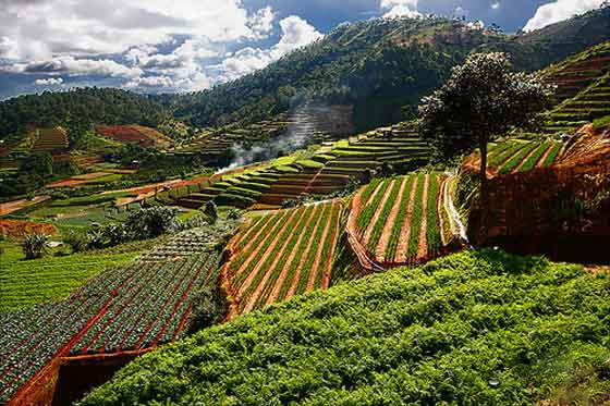 kinh nghiệm du lịch Đà Lạt kinh nghiệm du lịch Đà Lạt