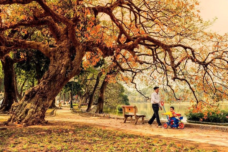 vé máy bay đi Hà Nội vé máy bay đi Hà Nội