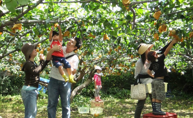 kinh nghiệm du lịch tiết kiệm kinh nghiệm du lịch tiết kiệm